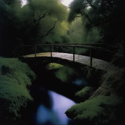 Bill Henson Landscape