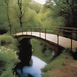 Cindy Sherman Landscape