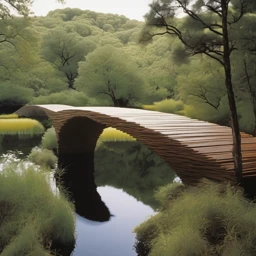 Maya Lin Landscape