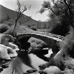 Philippe Halsman Landscape